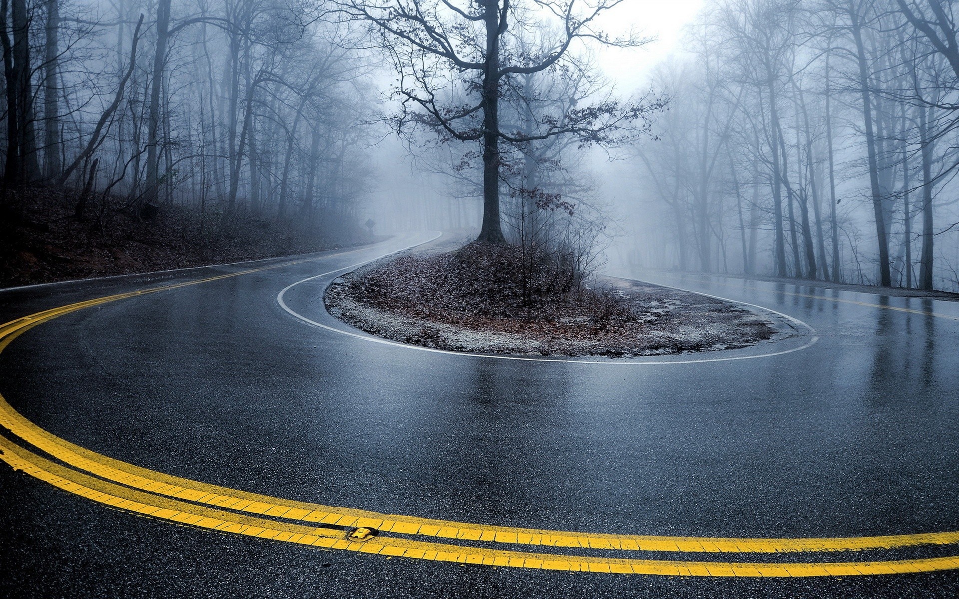 autumn road snow winter tree fog asphalt landscape guidance travel outdoors dawn nature mist weather wood highway