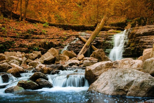 Hermosa cascada en el bosque de otoño