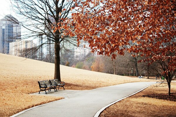 Jesienny park z ławkami