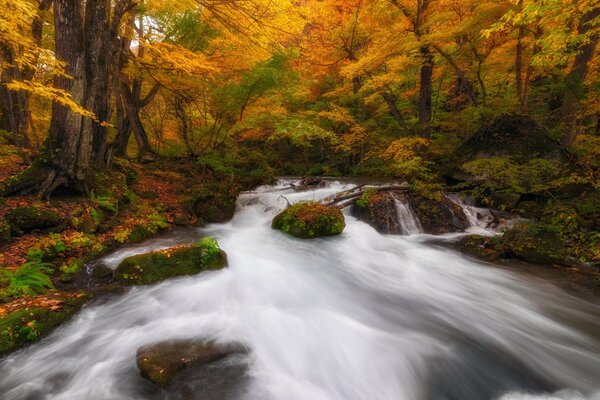 Herbstlandschaft mit Wasserfall auf Steinen