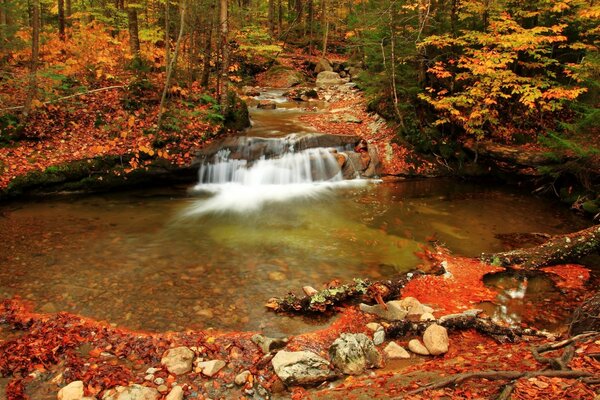 Schöner Herbstwald und Bach