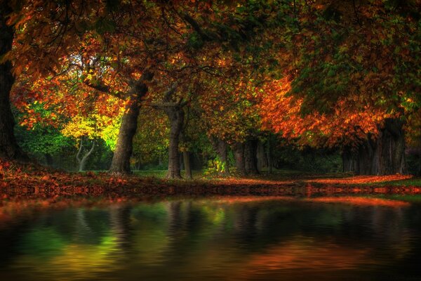 Herbstwald. Schöne Landschaft