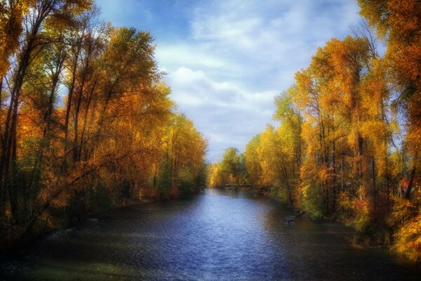 Herbstwald und ruhiger Fluss