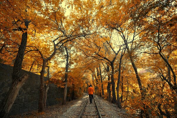 Autumn forest and a lonely man