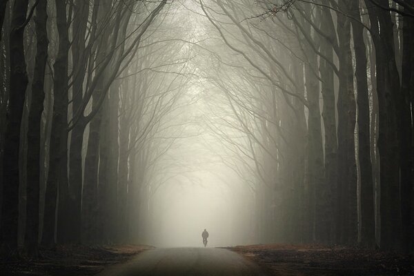 Uomo nella misteriosa foresta invernale