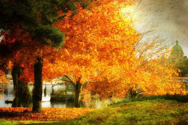 Paesaggio bellissimo autunno triste: alberi, distesa d acqua, erba