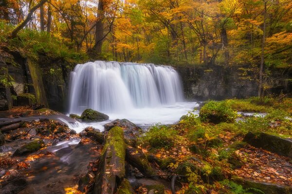 Otoño bosque cascada piedras