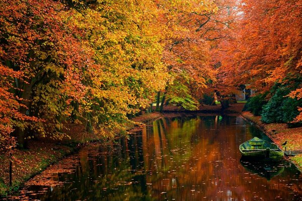 Holzblatt im Herbstteich