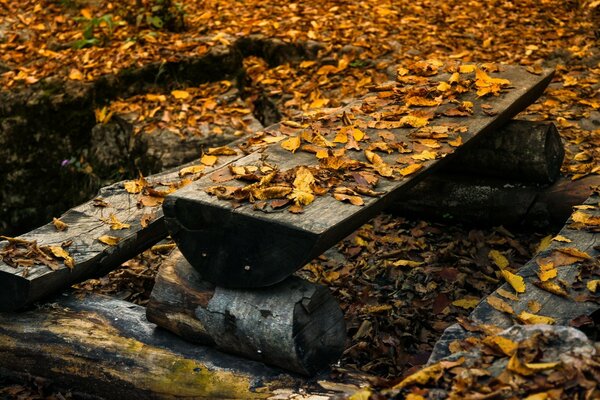 Holzbänke und ein Tisch sind mit Blättern übersät