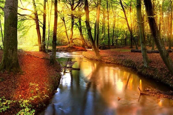 Impresionante paisaje de otoño