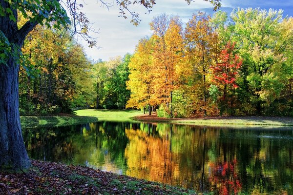 Bosque de otoño en el reflejo de un lago tranquilo