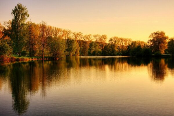 Reflection of the dense forest in the lake