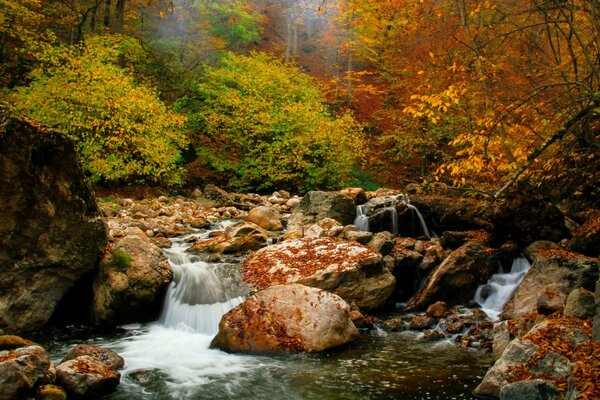 A small waterfall among rocks and yellow-green leaves of trees in the autumn forest