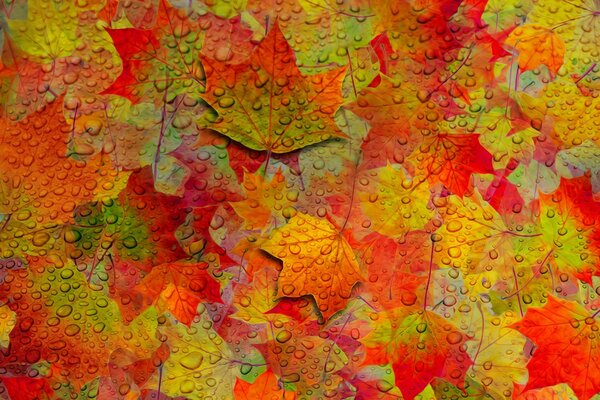 Painted surface with autumn leaves in drops of water