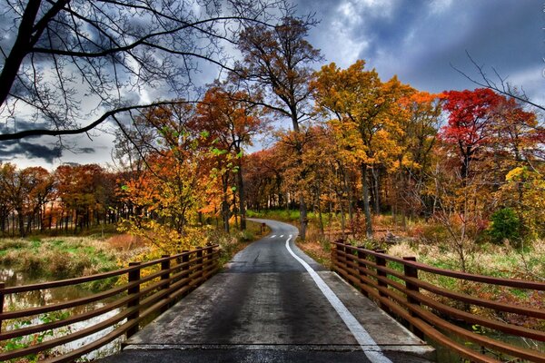 Autumn landscape road among trees