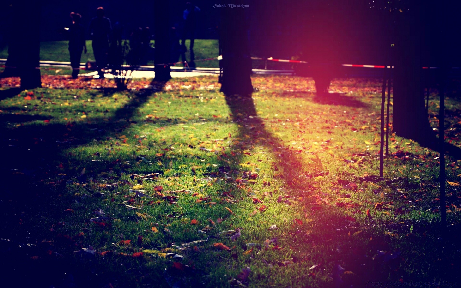 herbst licht landschaft im freien