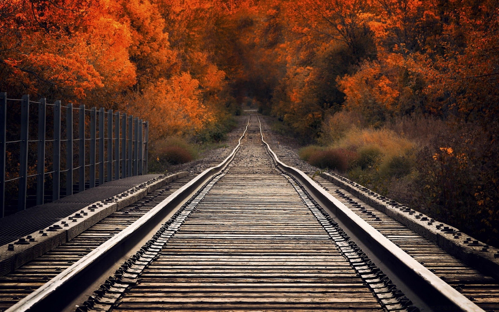 autumn railway train track transportation system travel guidance road light perspective engine outdoors fast daylight line iron