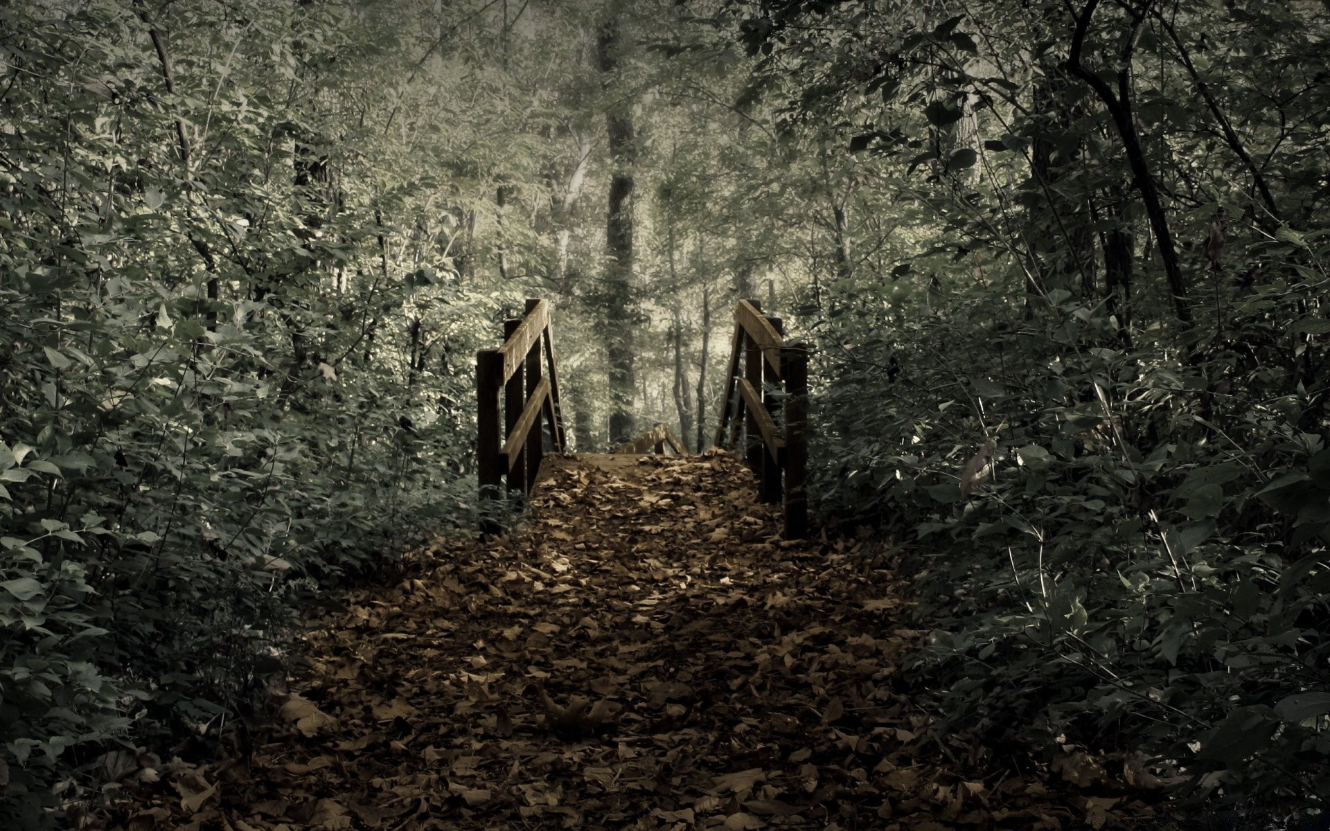 herbst holz holz im freien einzelne landschaft