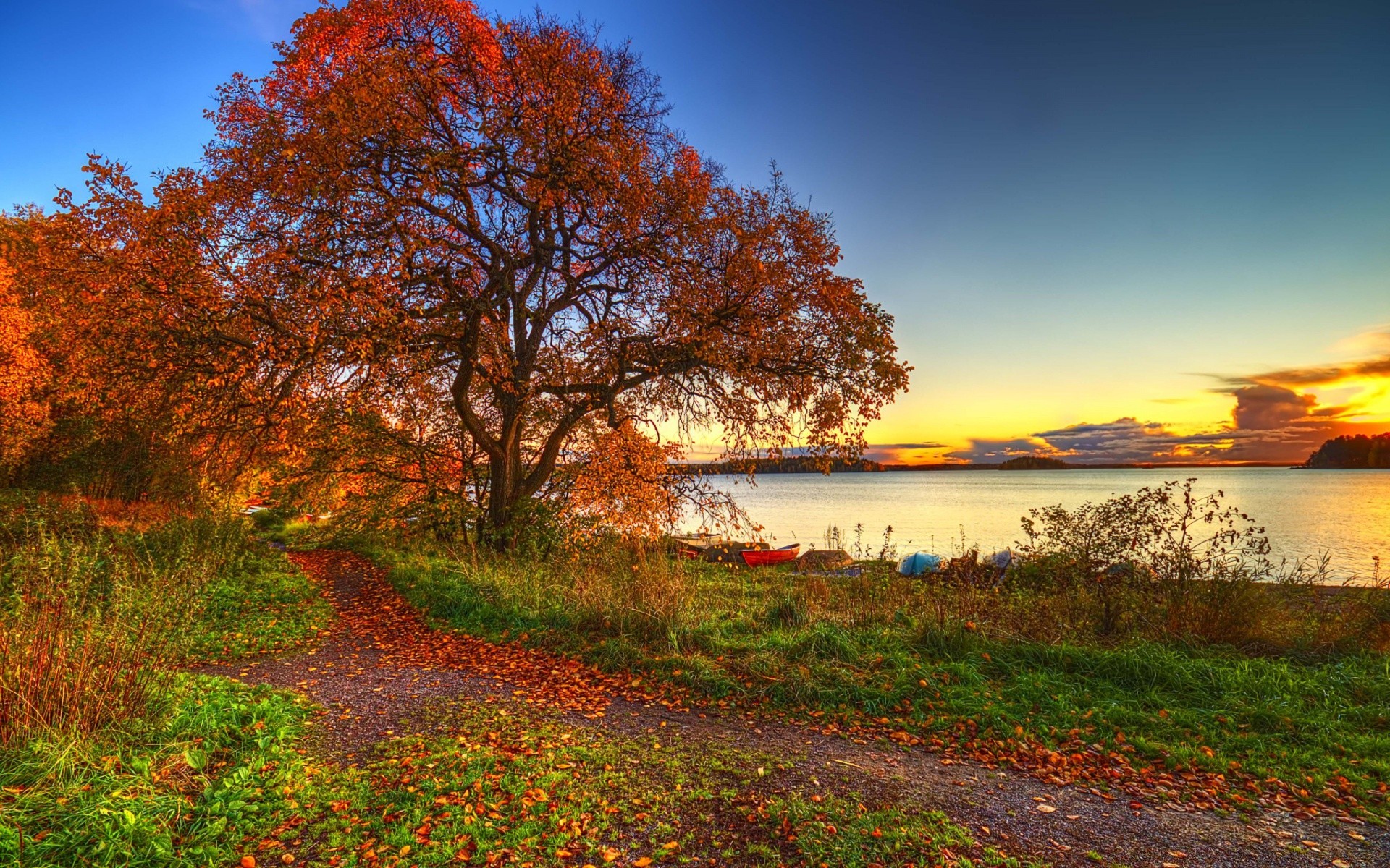 autumn landscape fall nature tree leaf outdoors season scenic park wood countryside grass sky rural lake