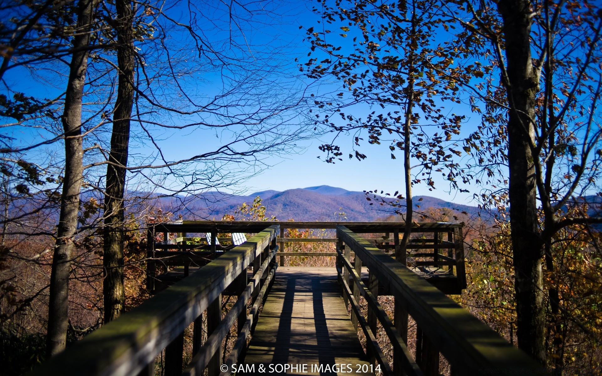 autumn wood tree landscape outdoors nature park guidance scenic travel fall water sky leaf light daylight