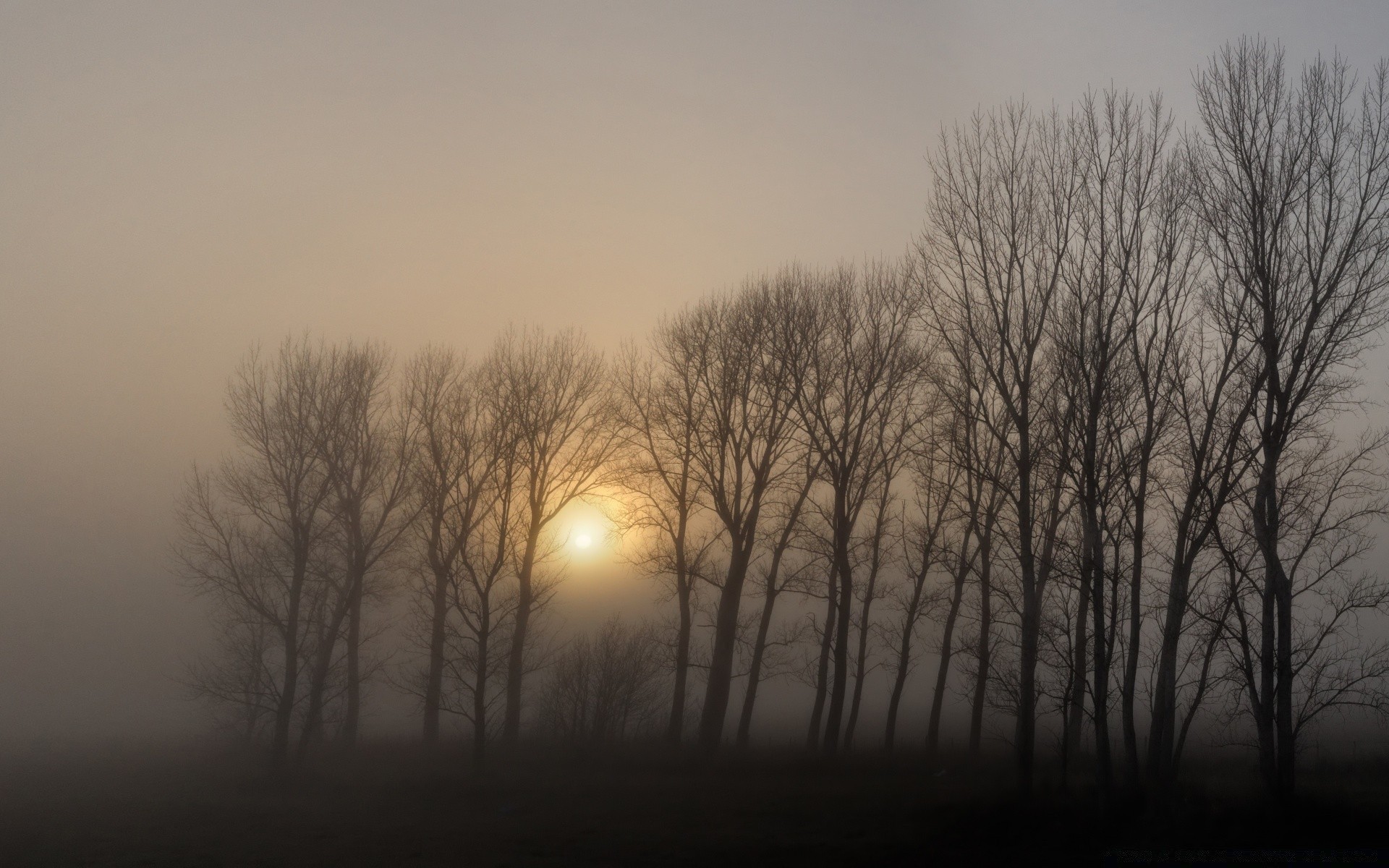 herbst nebel dämmerung landschaft nebel winter sonne baum sonnenuntergang licht wetter schnee natur silhouette herbst hintergrundbeleuchtung kälte abend himmel gutes wetter holz