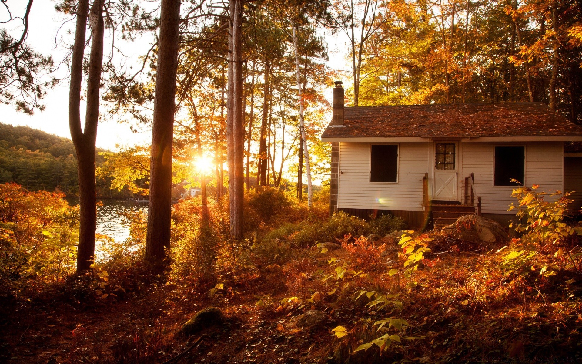 autumn wood tree fall house outdoors home leaf landscape