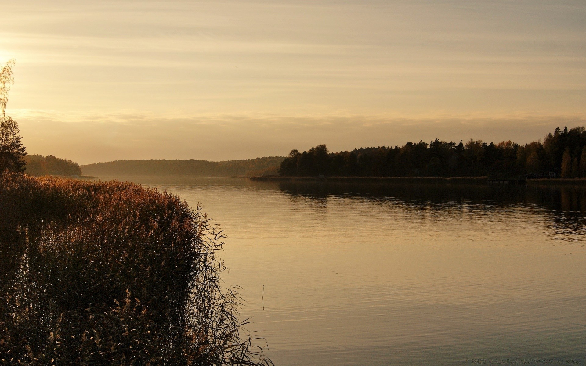 automne lac aube coucher de soleil eau paysage réflexion rivière arbre nature soir ciel brouillard automne à l extérieur soleil crépuscule