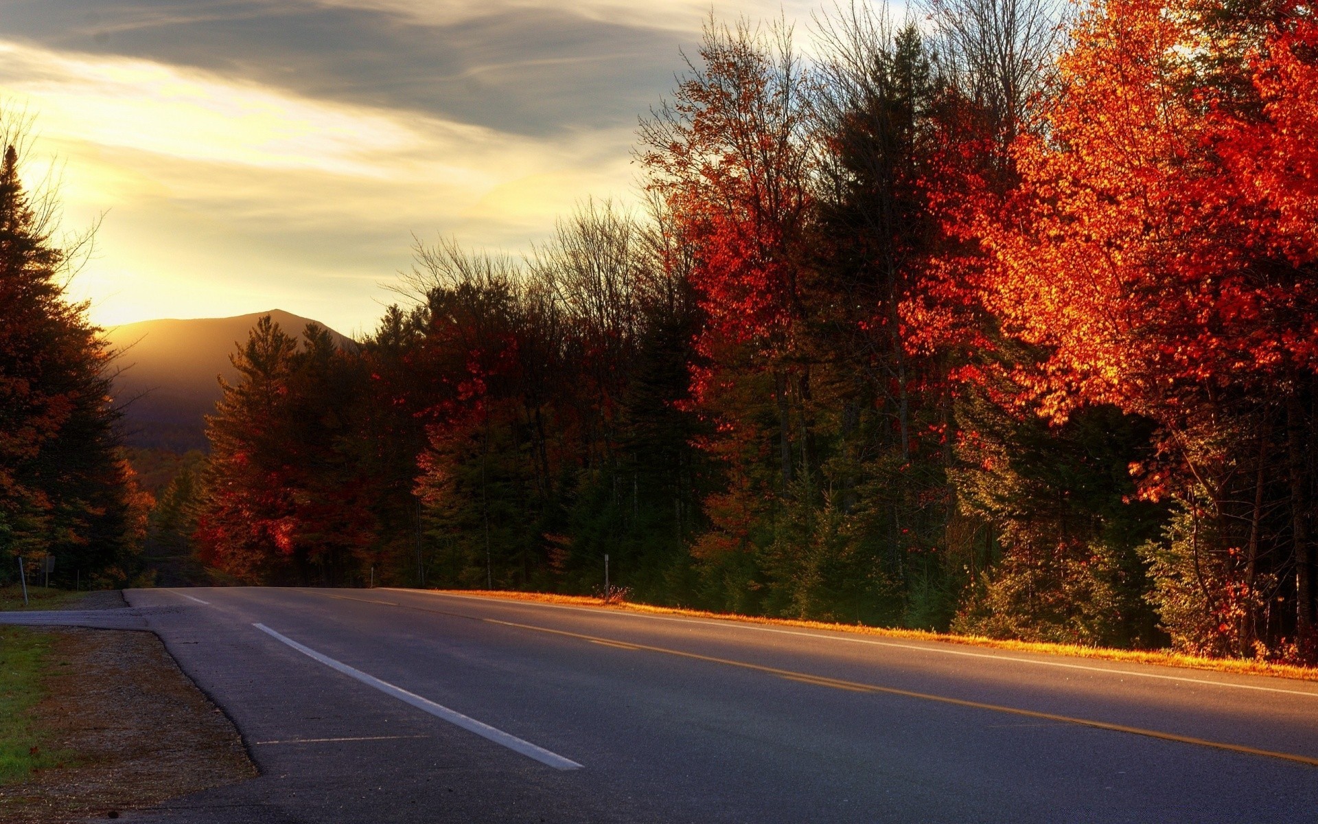 herbst straße baum herbst landschaft im freien führer asphalt autobahn morgendämmerung