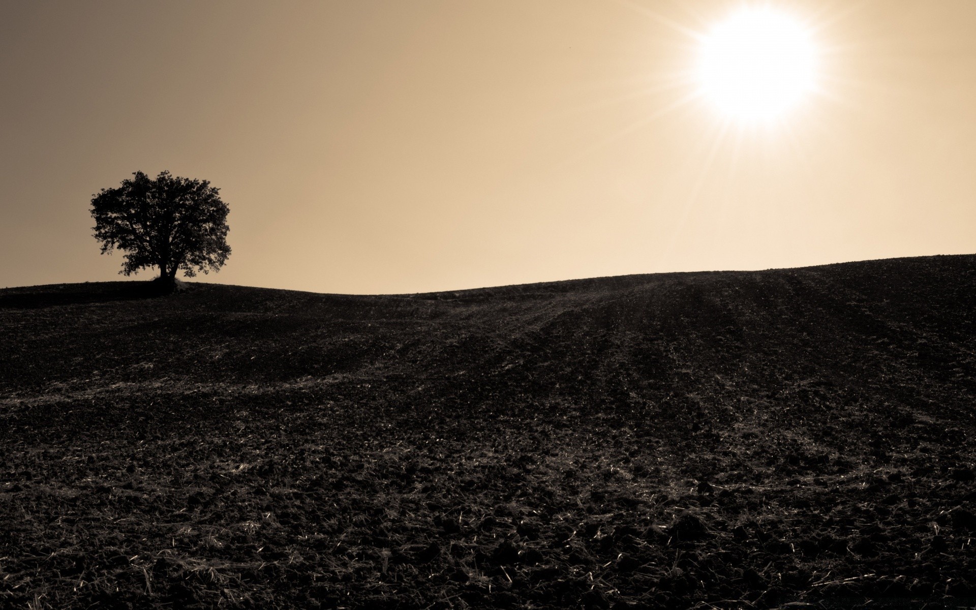 autunno paesaggio tramonto sole cielo alba luce sera natura deserto luna albero nebbia crepuscolo bel tempo illuminato spiaggia ombra viaggi