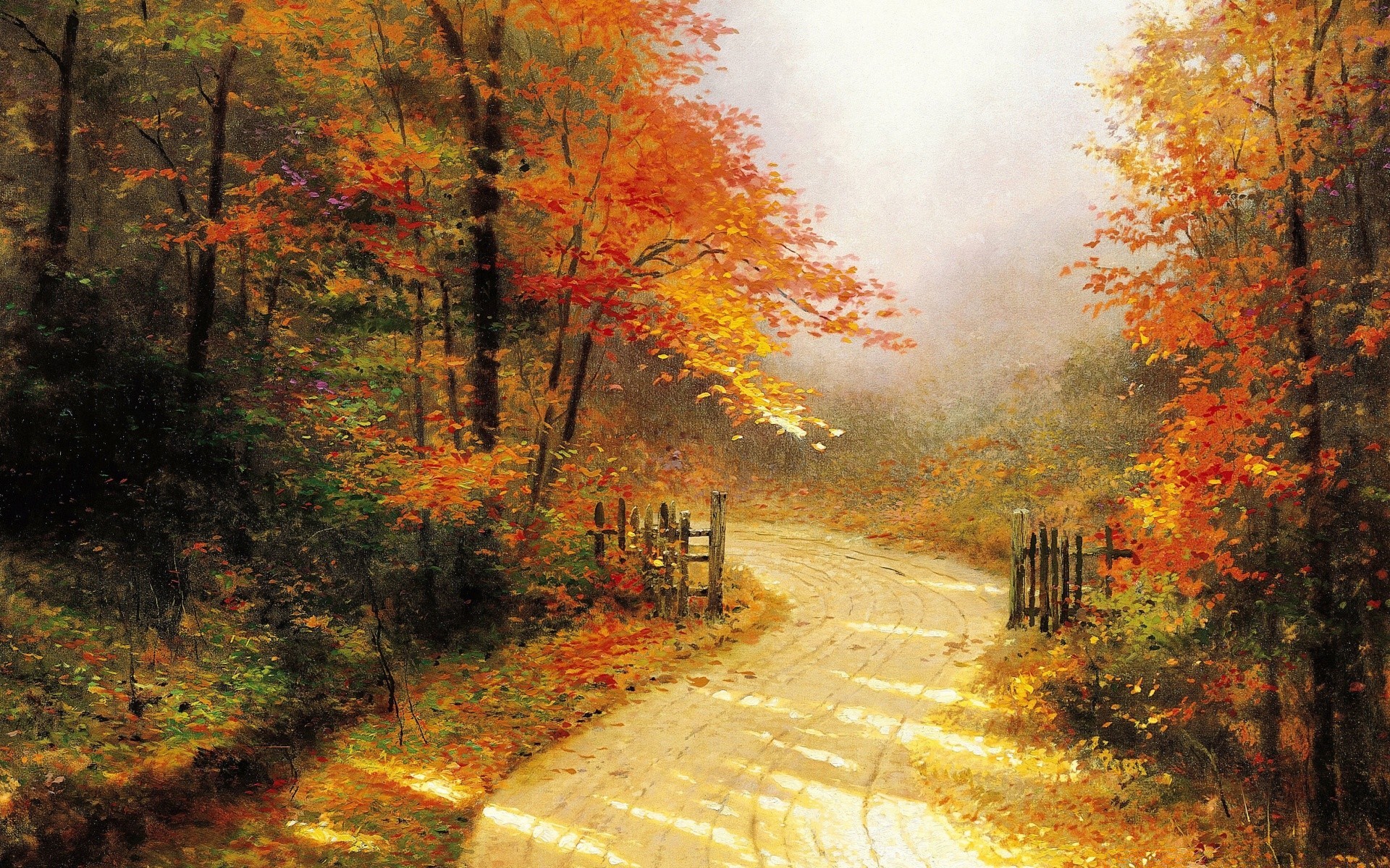 autumn fall leaf tree wood road landscape park nature fog mist dawn outdoors scenic season guidance maple countryside fair weather scenery