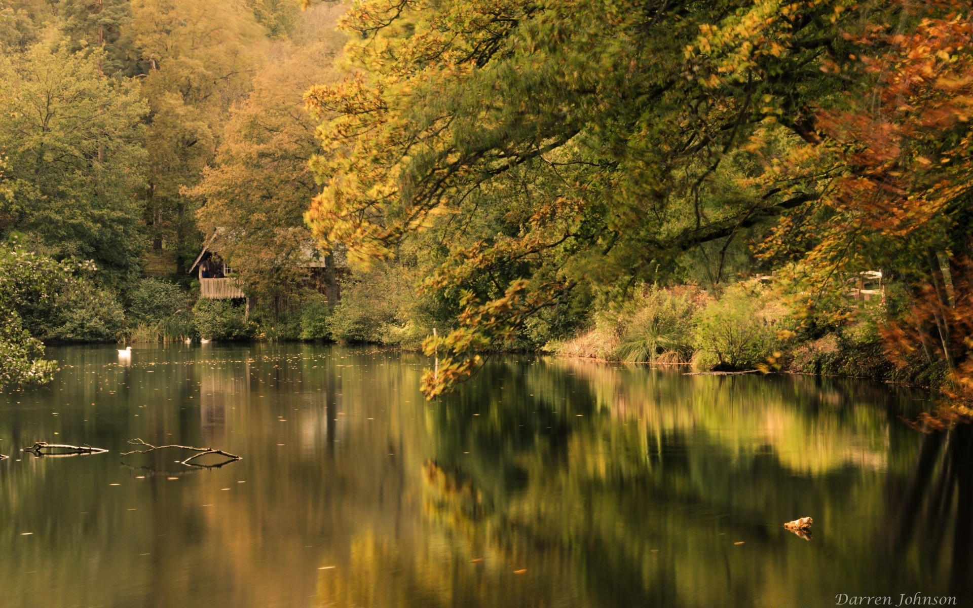 autunno autunno natura acqua albero legno lago foglia paesaggio all aperto fiume riflessione freddezza parco scenico piscina fango