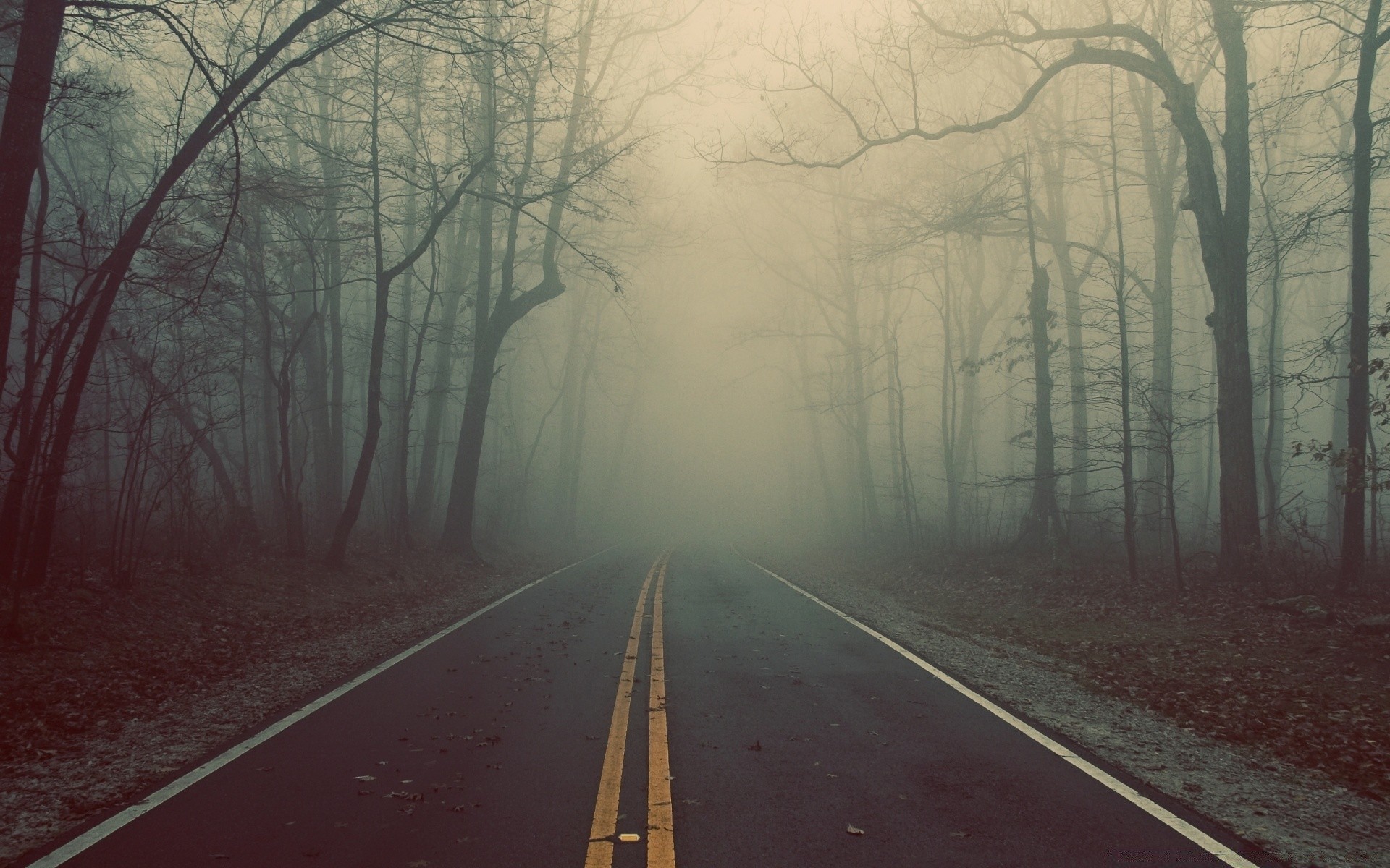 otoño carretera árbol niebla guía paisaje carretera amanecer sistema de transporte calle invierno tiempo niebla luz madera otoño