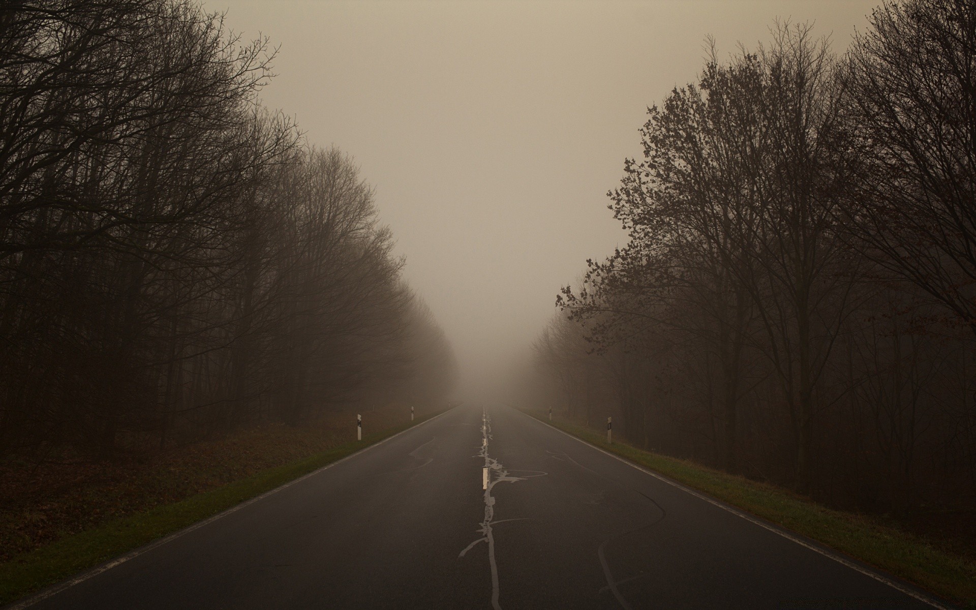 autumn road fog landscape tree winter mist dawn snow guidance weather fall wood light street countryside outdoors