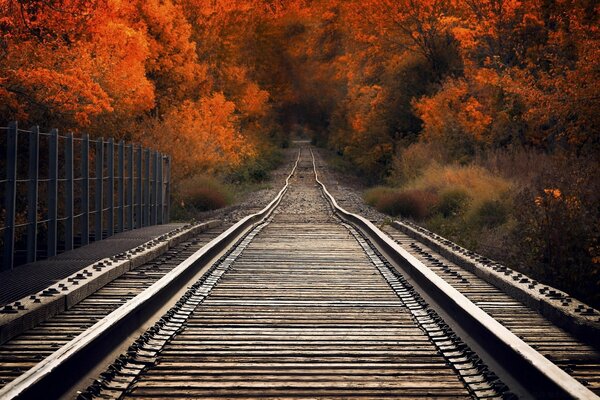 View from the railway bridge of autumn