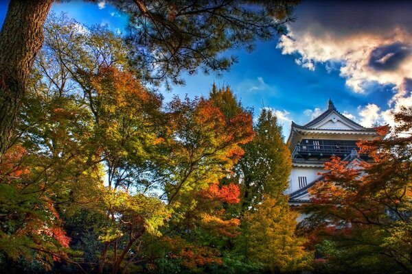 Motifs japonais, paysage d automne