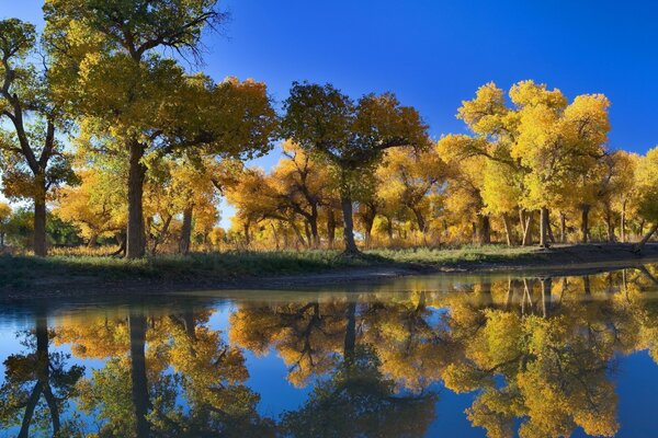 Autumn landscape. Alley by the lake