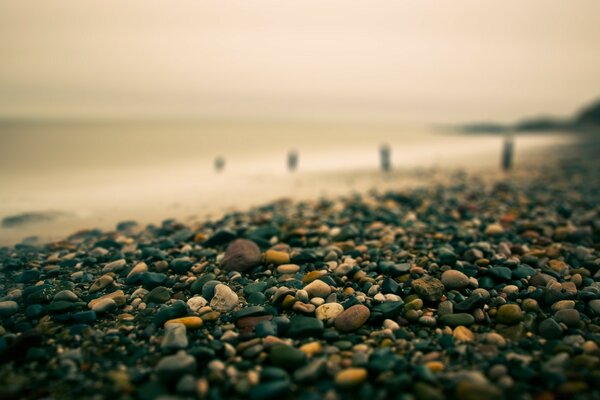 Naturwunder. Glasstrand