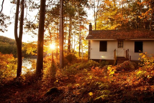 Petite maison au bord du lac