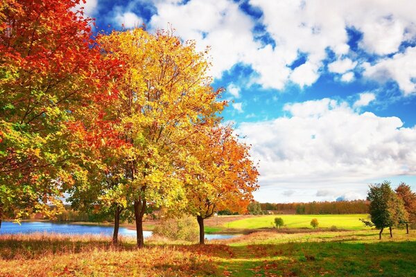 Blauer Himmel. Herbstliche Landschaft