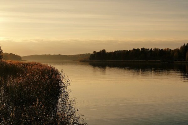 Amanecer en el lago con bruma