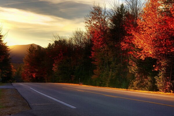 Camino a través del bosque de otoño al amanecer