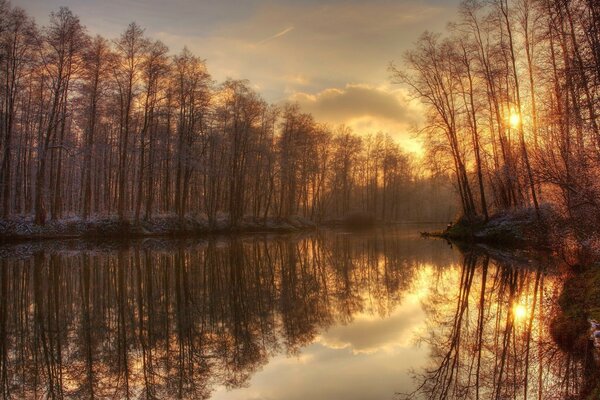 Dawn over a misty forest lake