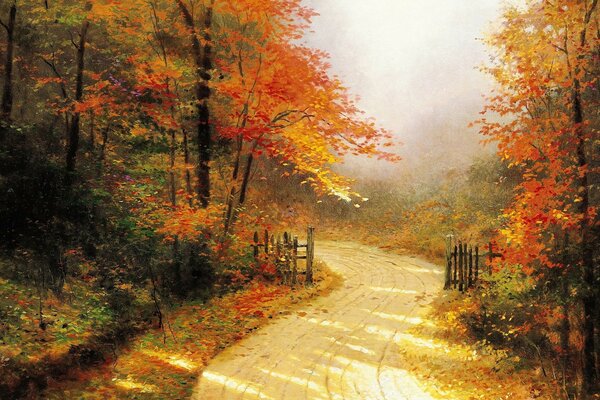 Autumn road in the autumn forest