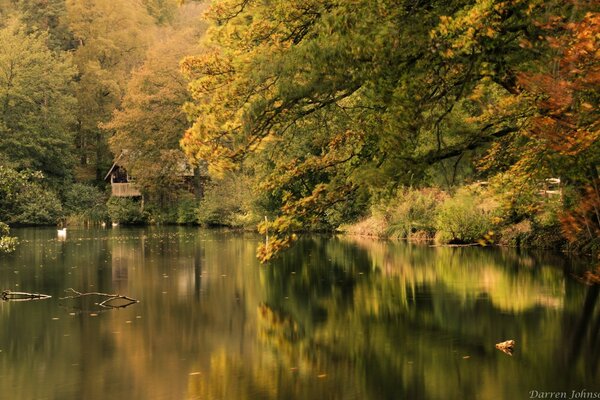 Природна краса дерев і води