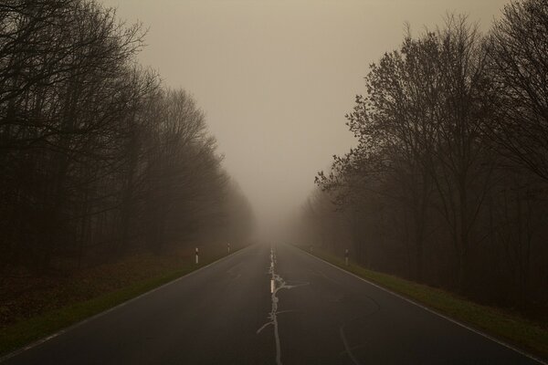 Landschaft Herbst Straße Nebel