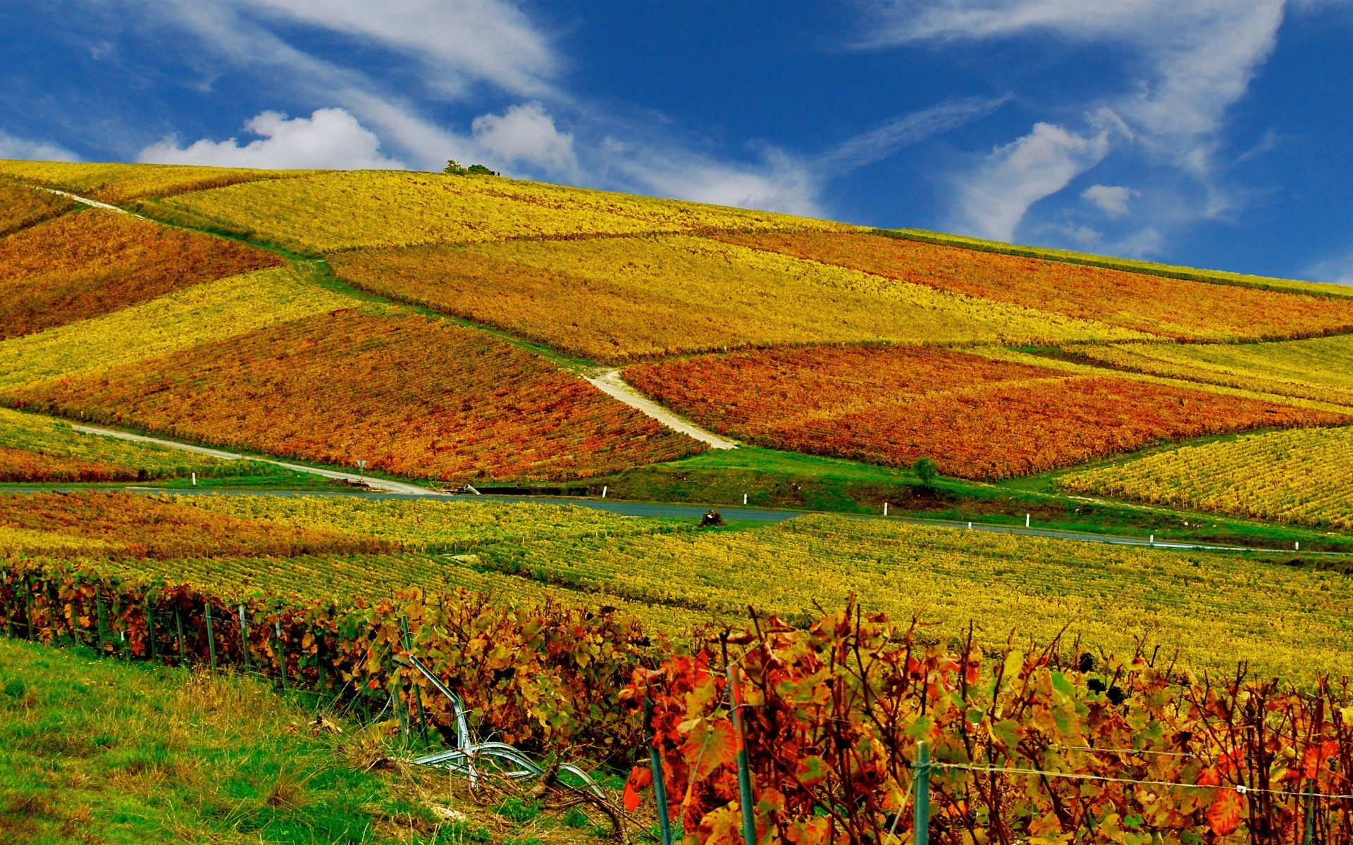 autumn agriculture rural landscape nature field countryside farm cropland pasture outdoors sky growth fall farmland grass summer crop tree country