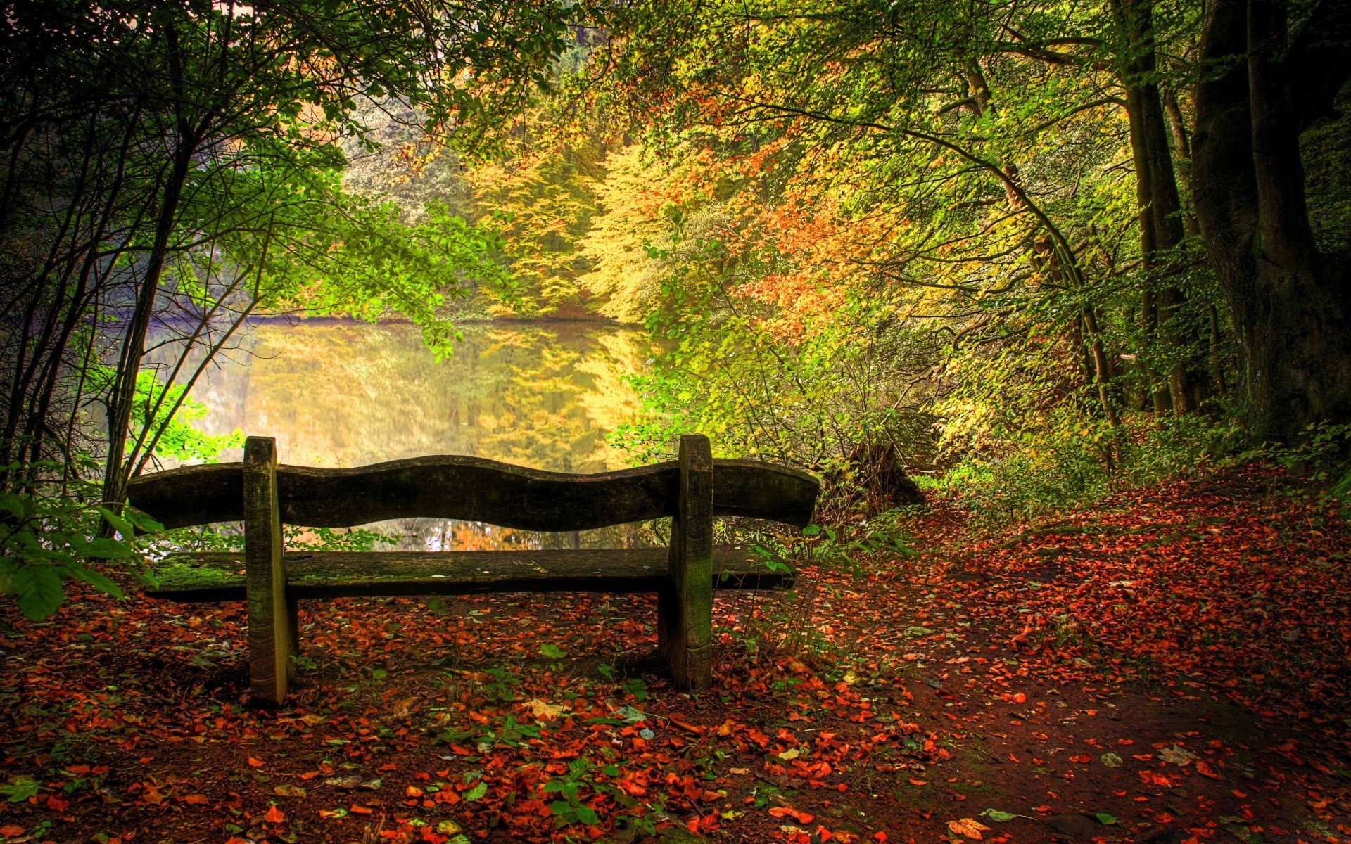 jesień drewno drzewo jesień liść natura ławka krajobraz park ogród światło na zewnątrz