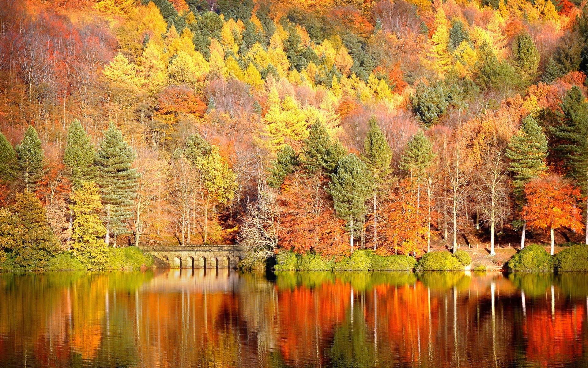 autunno autunno foglia di legno natura paesaggio albero stagione lago scenic all aperto fiume acqua paesaggio parco colore acero riflessione vivid selvaggio