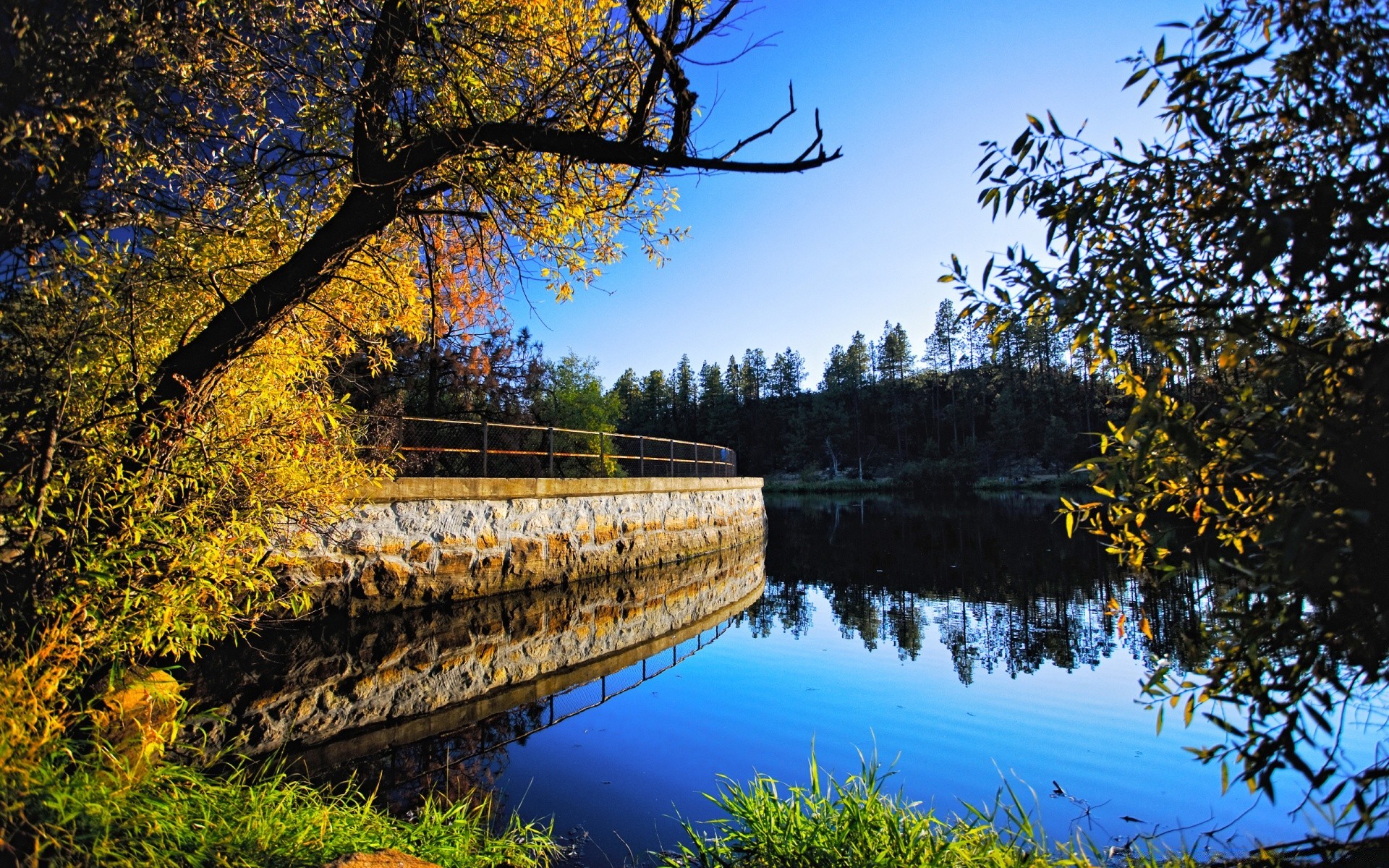 automne arbre nature bois automne paysage lac à l extérieur réflexion eau ciel scénique feuille saison parc