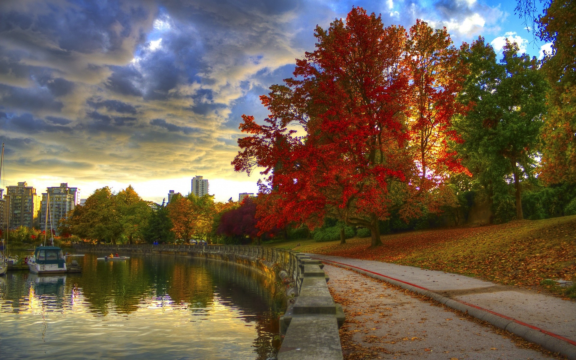 otoño árbol otoño paisaje naturaleza parque al aire libre hoja madera lago cielo río amanecer escénico temporada reflexión camino